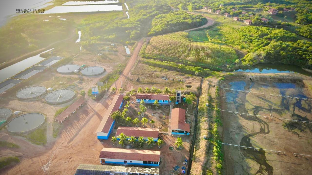 Padrão Internacional